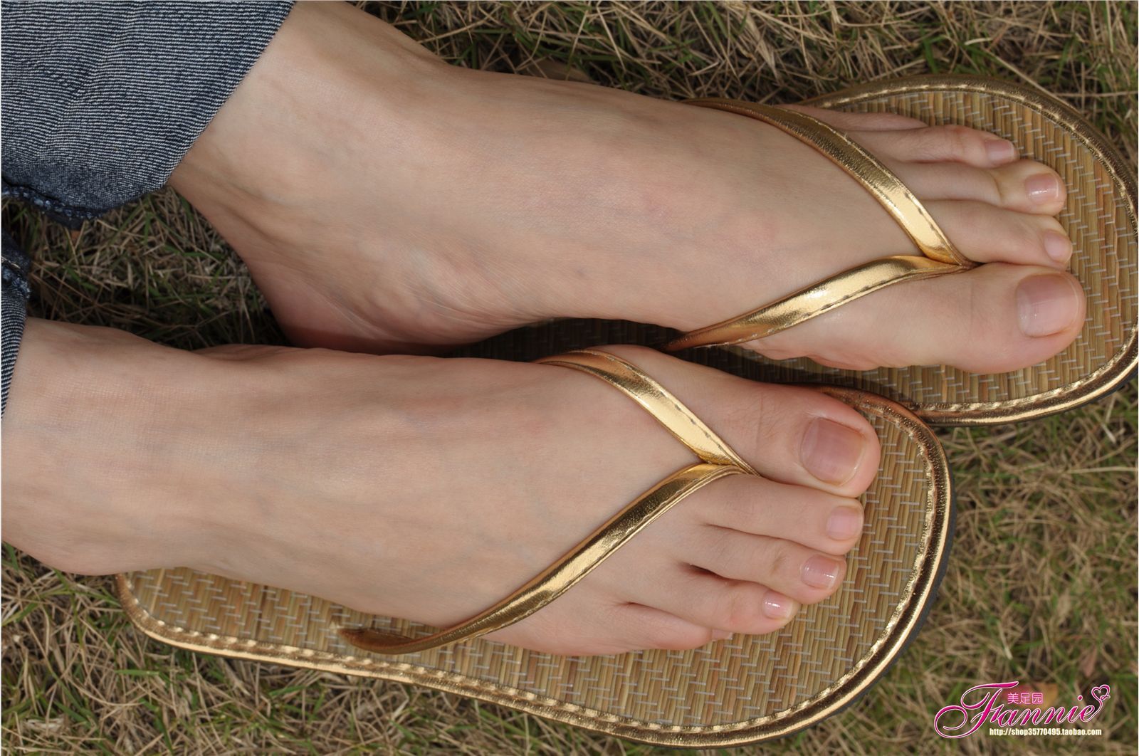 Fannie芬妮高清原图之彩虹糖的梦（金色）NO.044