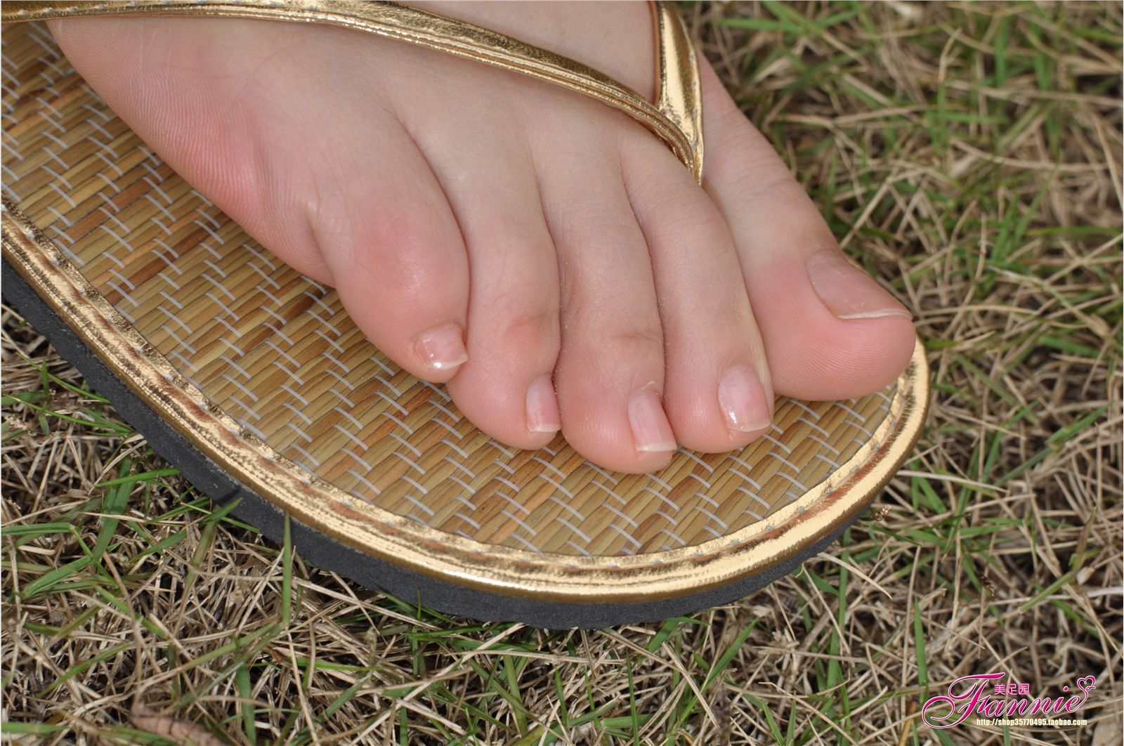 Fannie芬妮高清原图之彩虹糖的梦（金色）NO.044