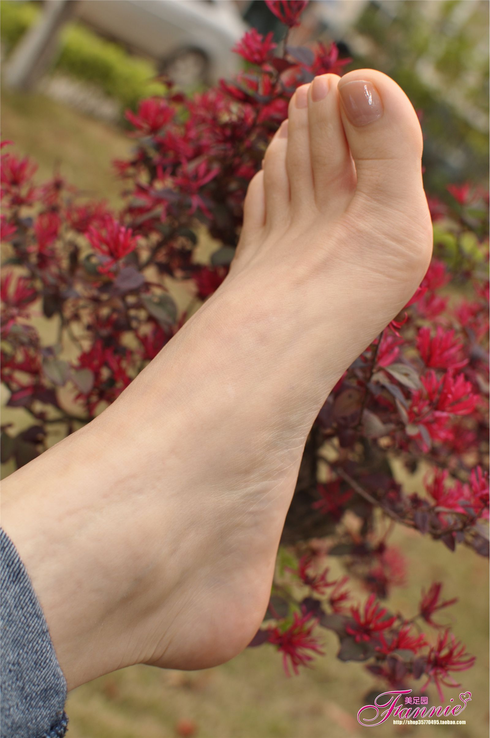 Fannie芬妮高清原图之彩虹糖的梦（金色）NO.044