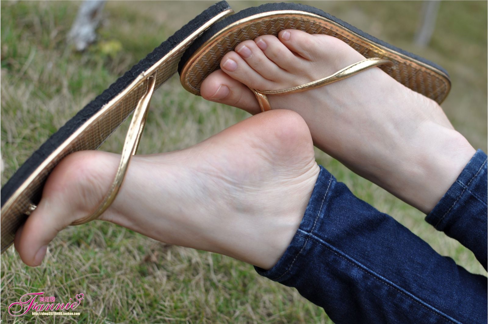 Fannie芬妮高清原图之彩虹糖的梦（金色）NO.044