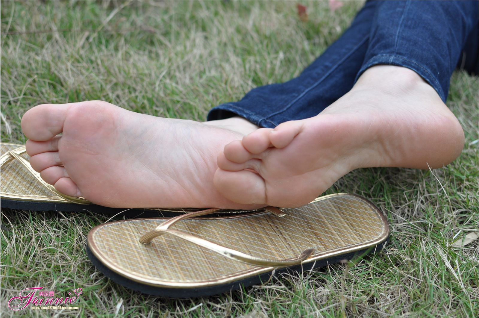 Fannie芬妮高清原图之彩虹糖的梦（金色）NO.044