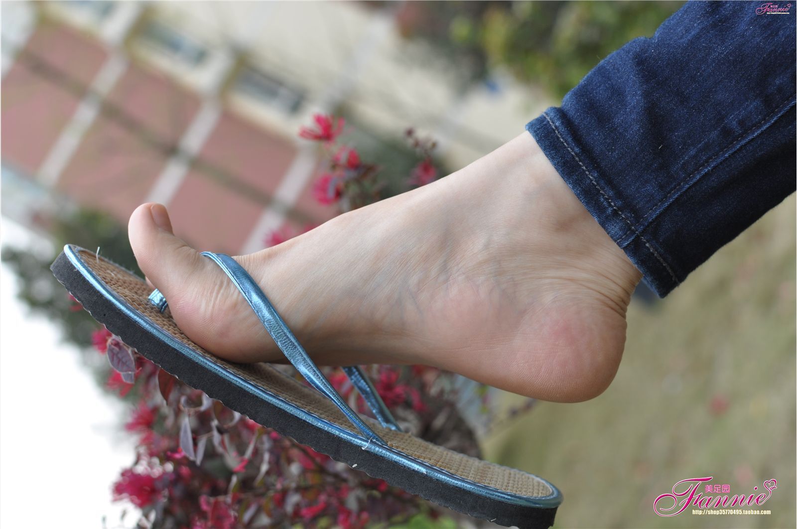 Fannie芬妮高清原图之彩虹糖的梦（蓝色）NO.045