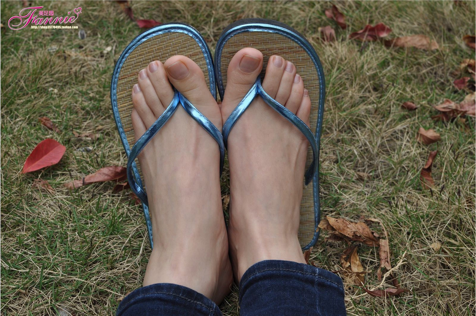 Fannie芬妮高清原图之彩虹糖的梦（蓝色）NO.045