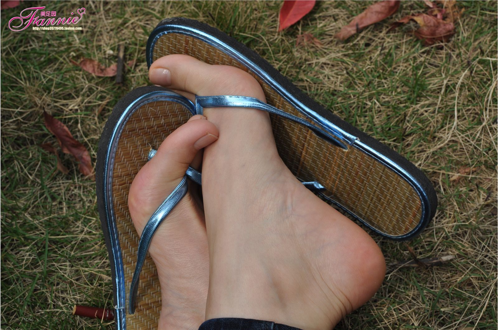 Fannie芬妮高清原图之彩虹糖的梦（蓝色）NO.045