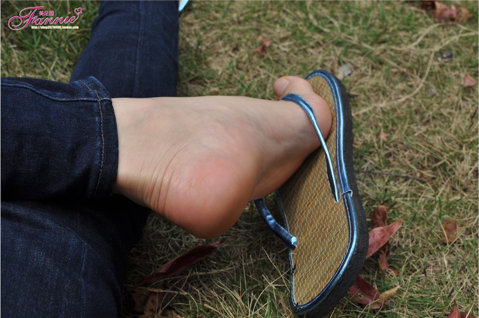 Fannie芬妮高清原图之彩虹糖的梦（蓝色）NO.045