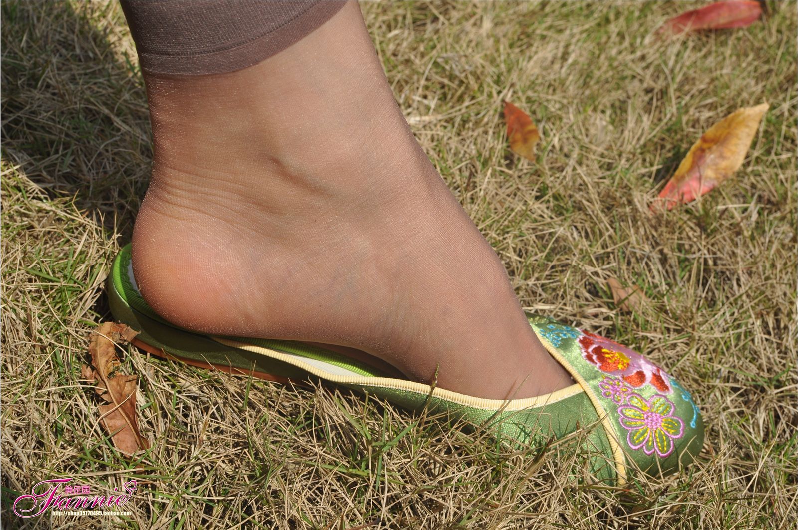 Fannie芬妮高清原图之触摸阳光（绣花鞋灰丝）NO.087