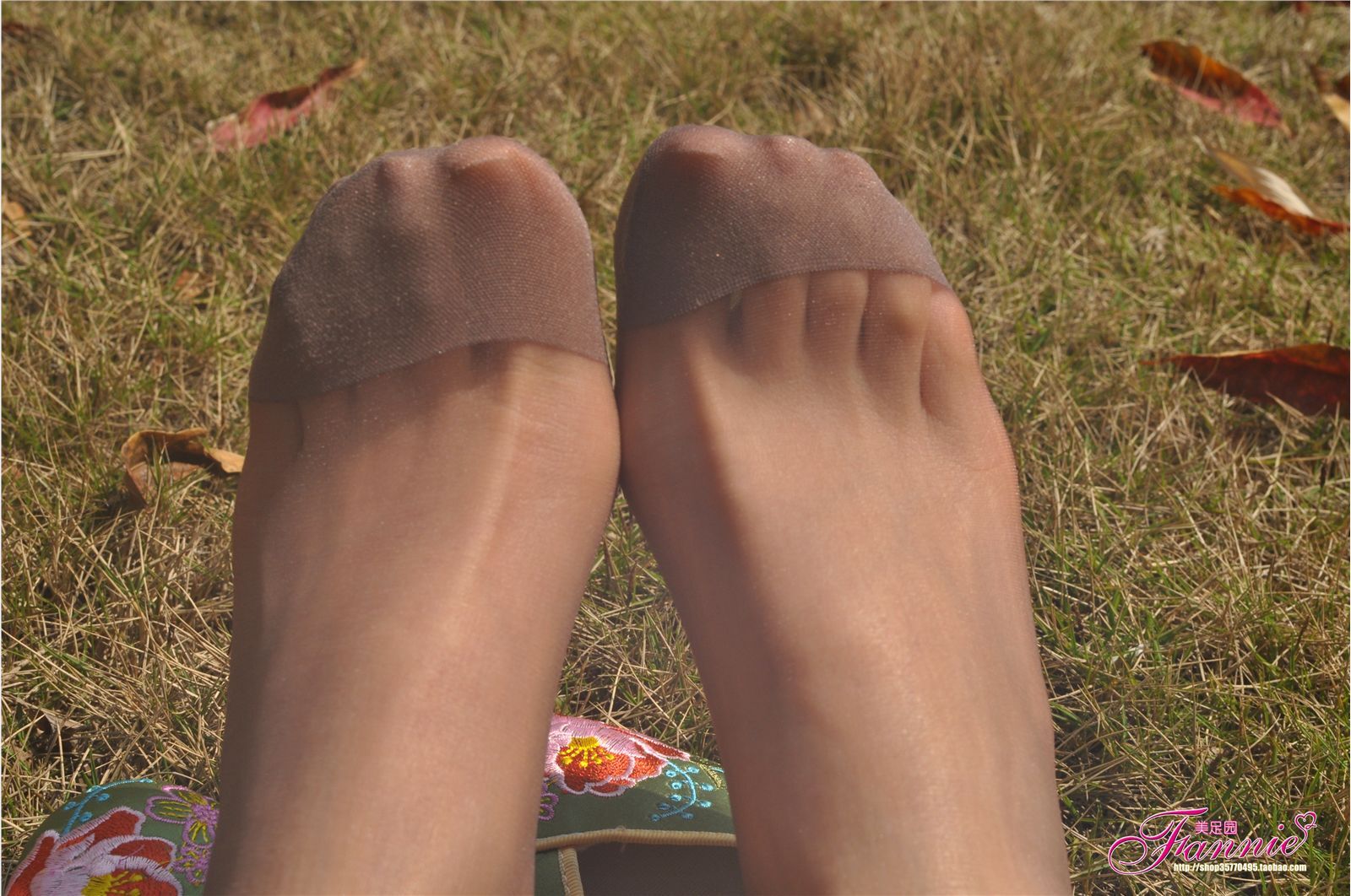 Fannie芬妮高清原图之触摸阳光（绣花鞋灰丝）NO.087