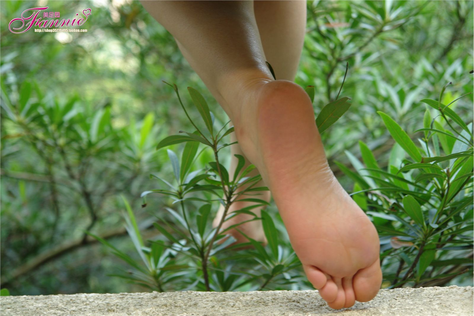 Fannie芬妮高清原图之穿过绿荫NO.089