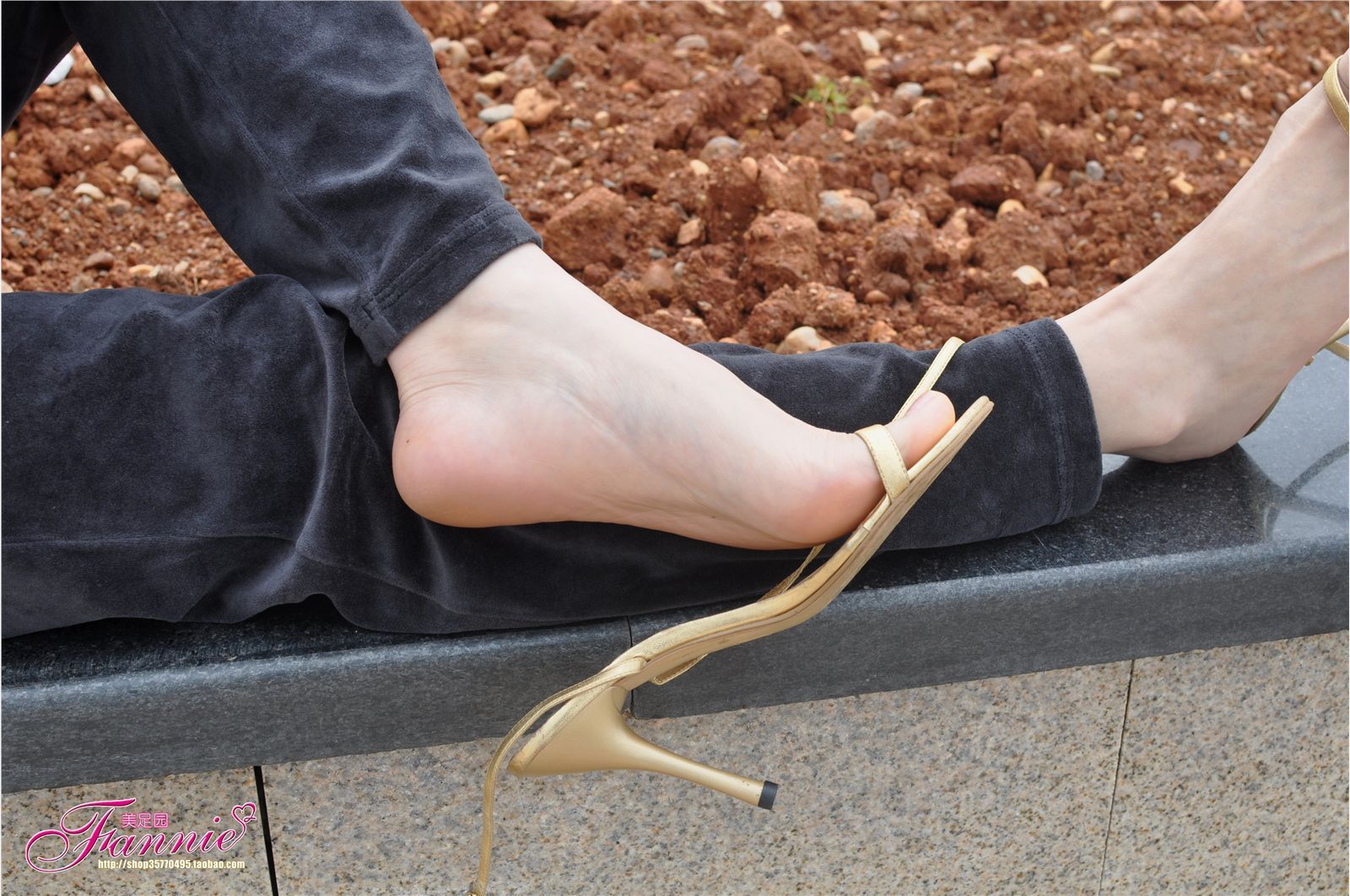 Fannie芬妮高清原图之春江水暖“丫”先知（金色旋律）NO.095