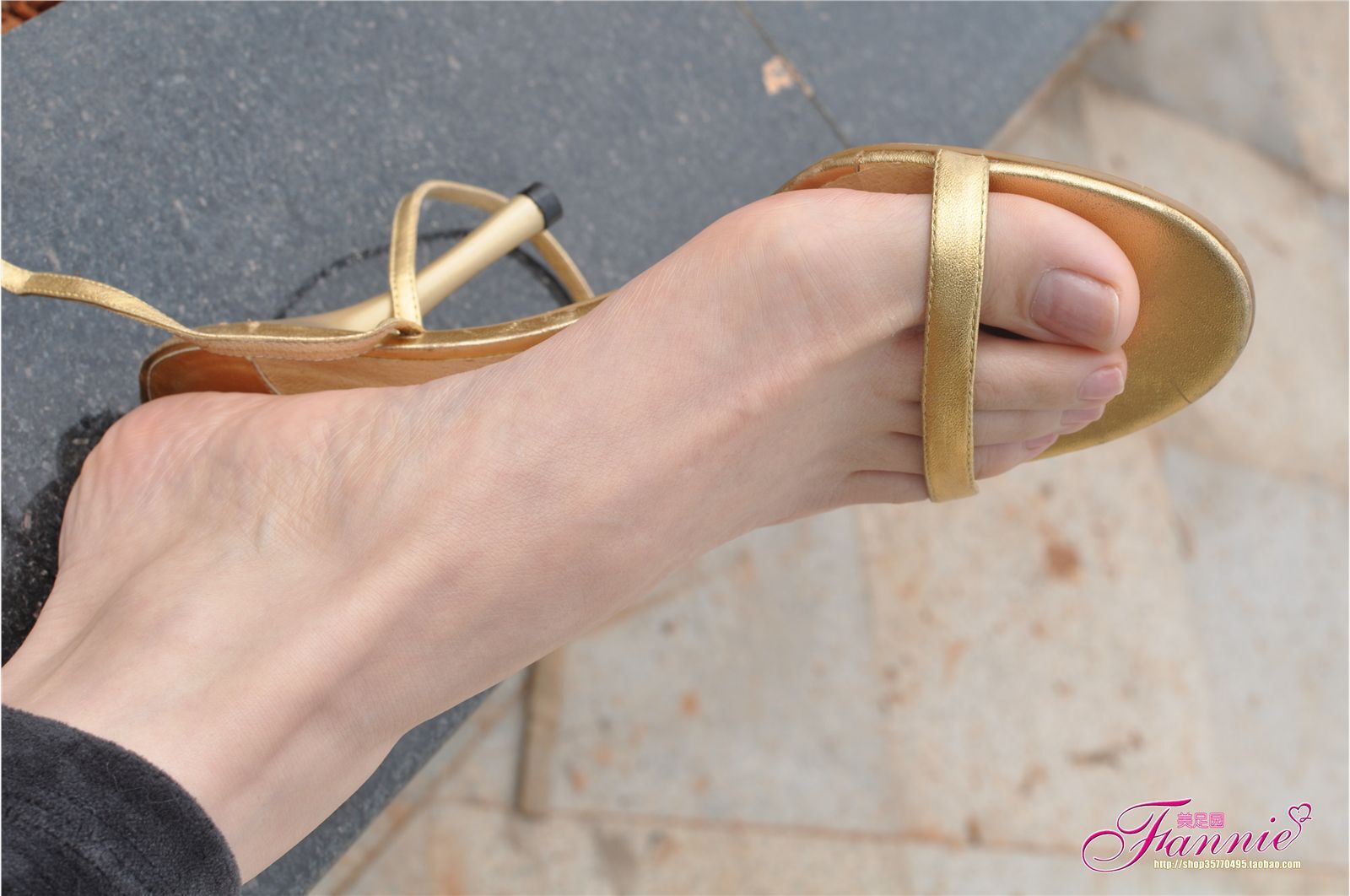 Fannie芬妮高清原图之春江水暖“丫”先知（金色旋律）NO.095