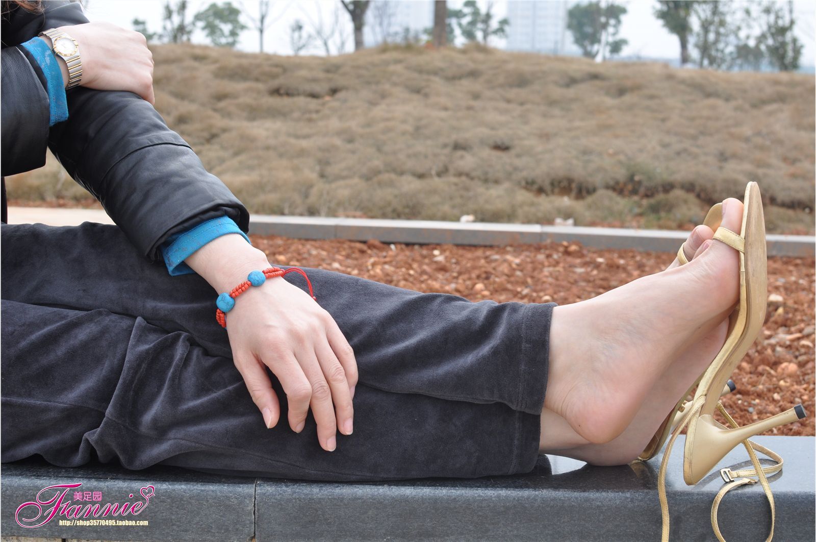 Fannie芬妮高清原图之春江水暖“丫”先知（金色旋律）NO.095