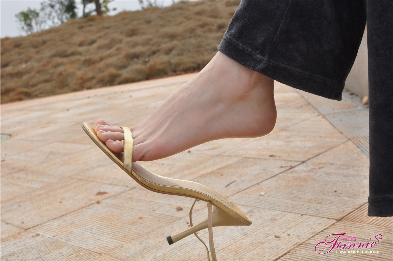 Fannie芬妮高清原图之春江水暖“丫”先知（金色旋律）NO.095