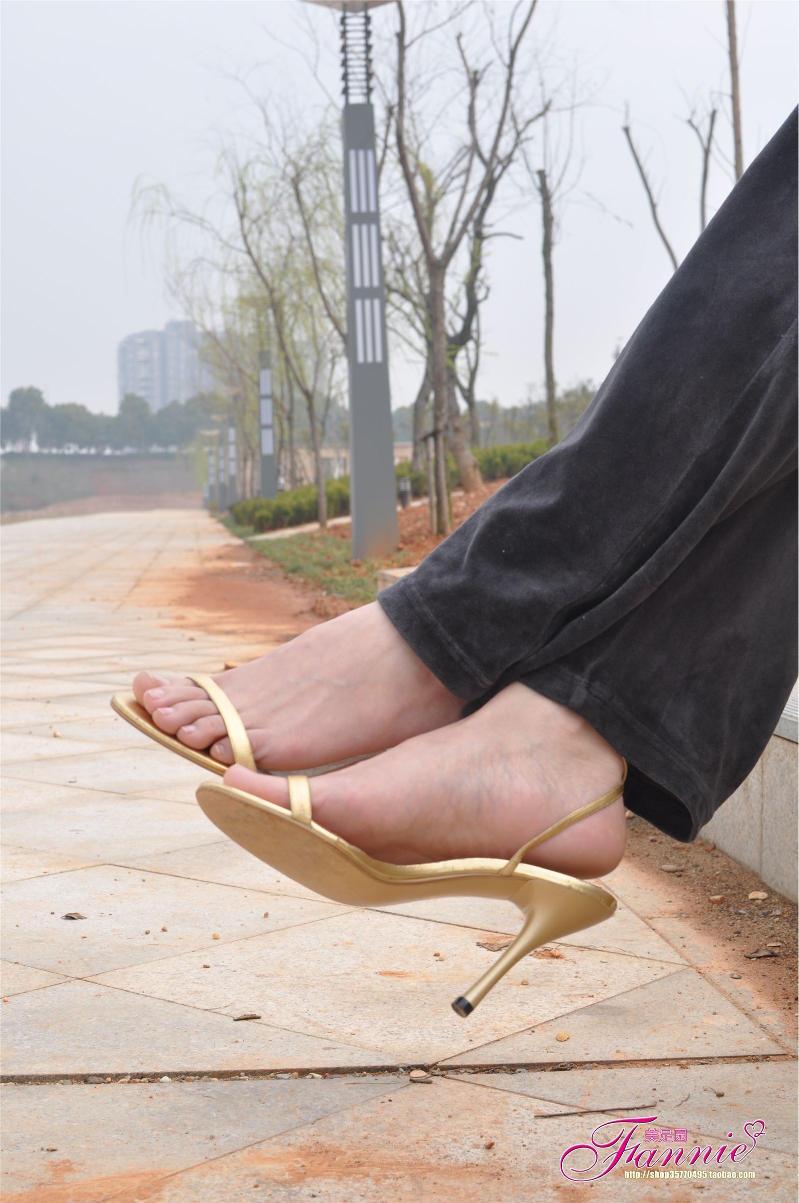 Fannie芬妮高清原图之春江水暖“丫”先知（金色旋律）NO.095