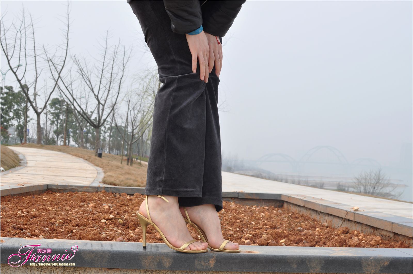 Fannie芬妮高清原图之春江水暖“丫”先知（金色旋律）NO.095