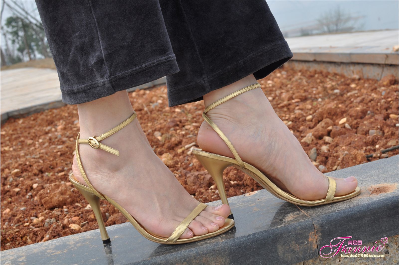 Fannie芬妮高清原图之春江水暖“丫”先知（金色旋律）NO.095