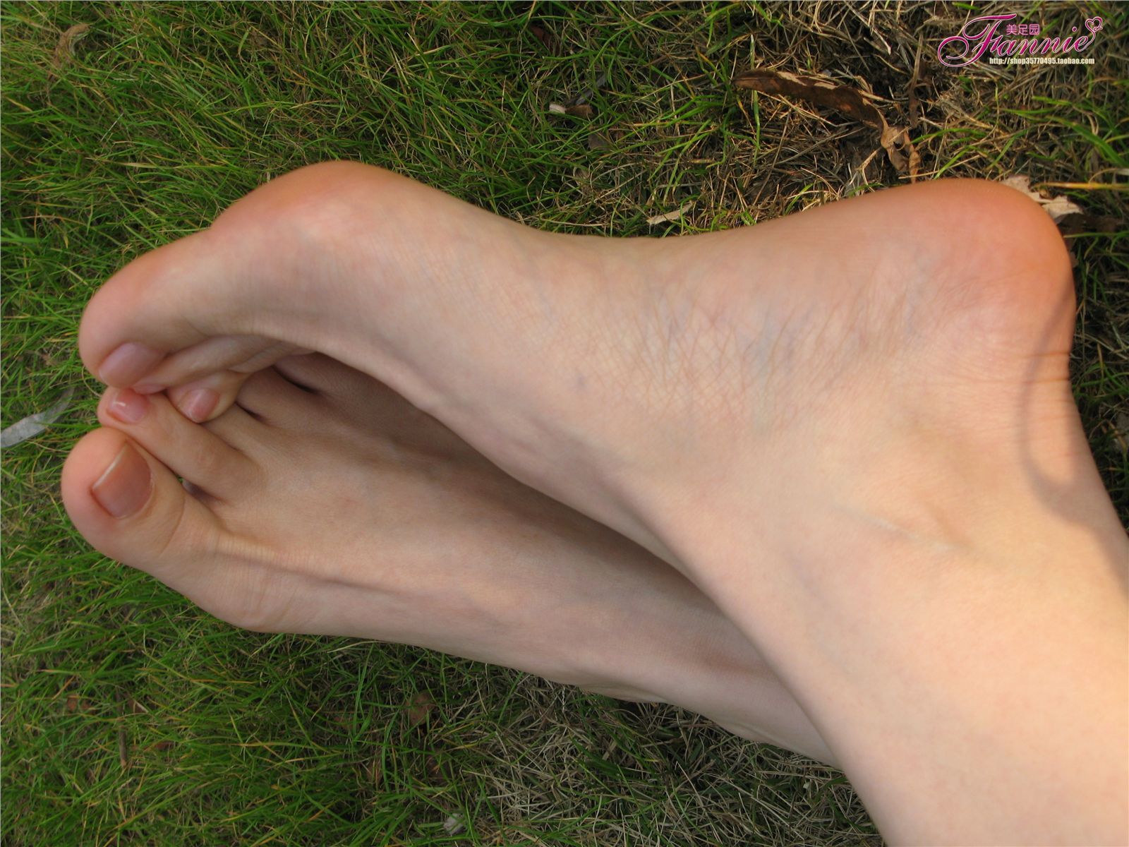 Fannie芬妮高清原图之春日里的那抹桃红NO.097