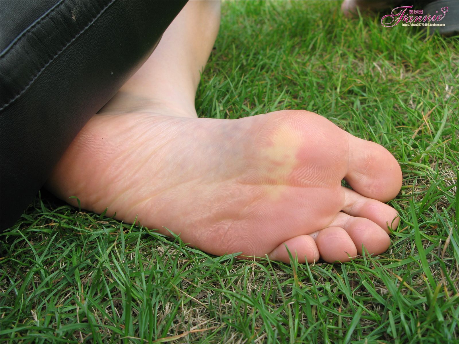 Fannie芬妮高清原图之春日里的那抹桃红NO.097