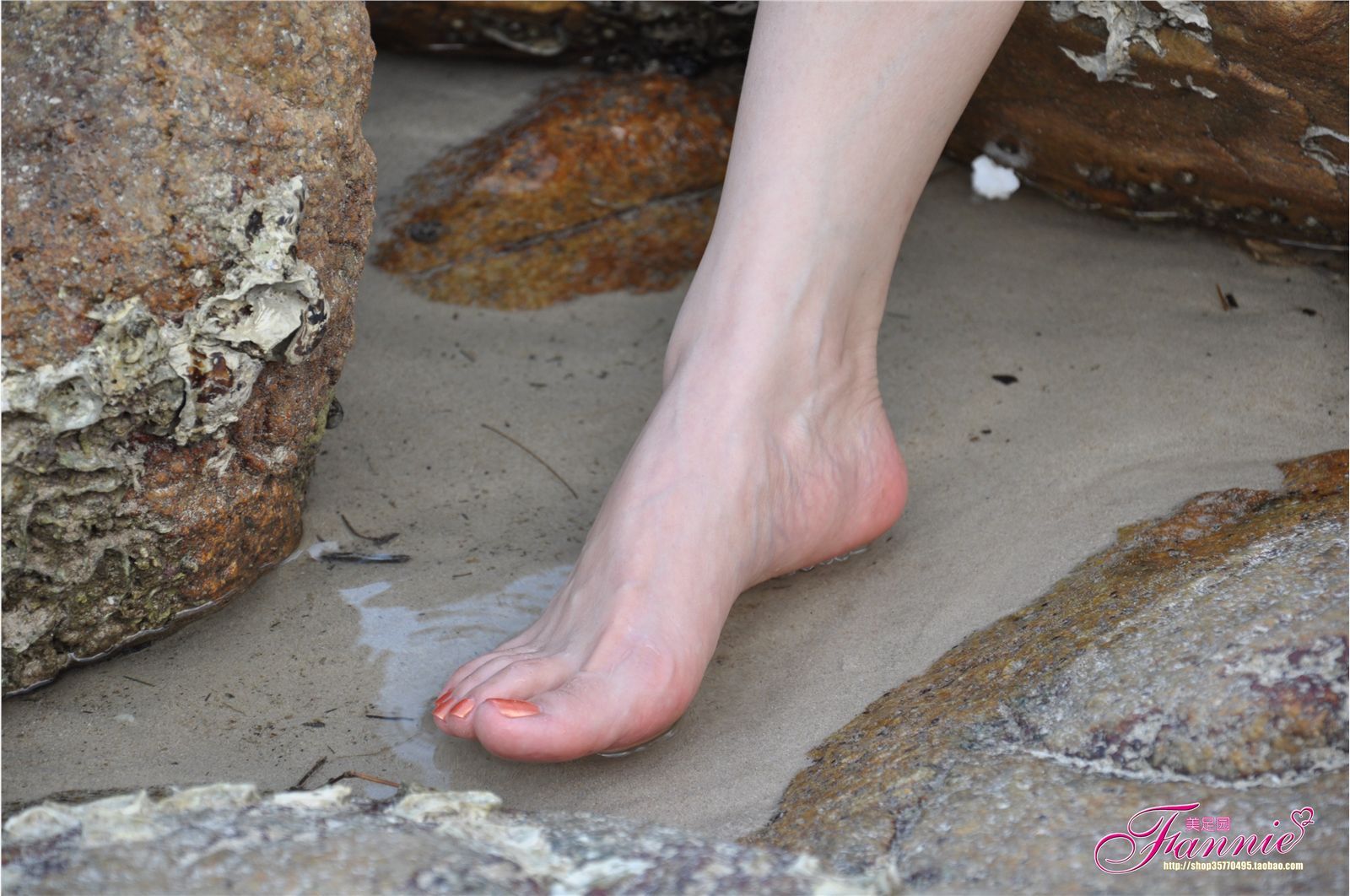 夏日炫彩系列五（赶海） 芬妮高清丝足