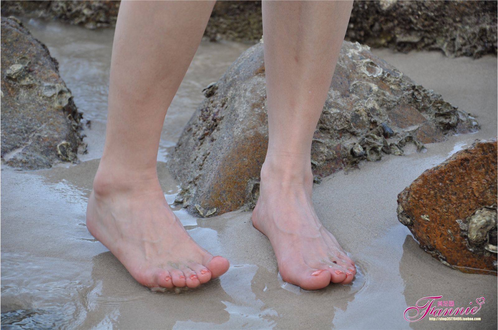 夏日炫彩系列五（赶海） 芬妮高清丝足