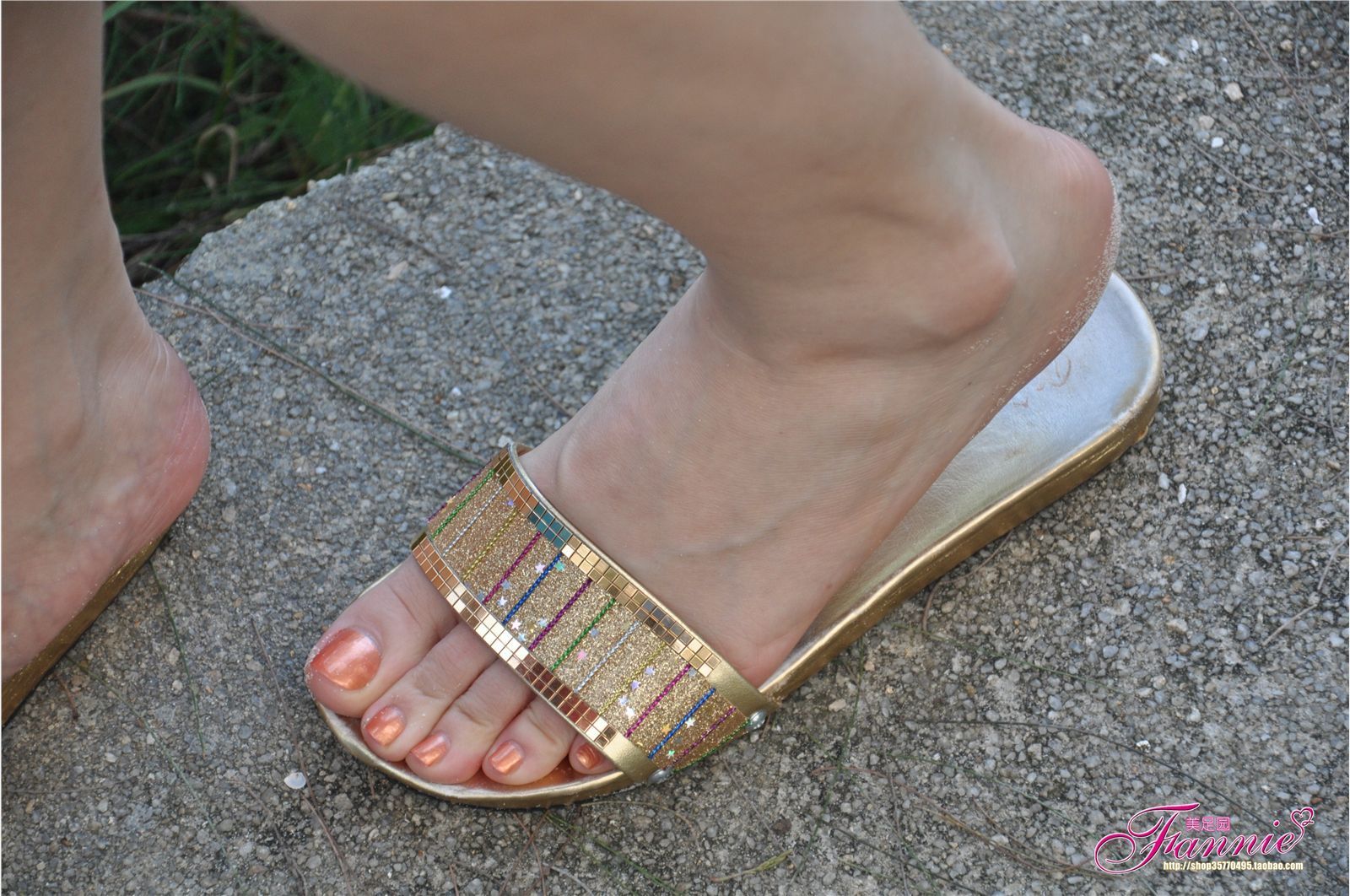 夏日炫彩系列五（赶海） 芬妮高清丝足