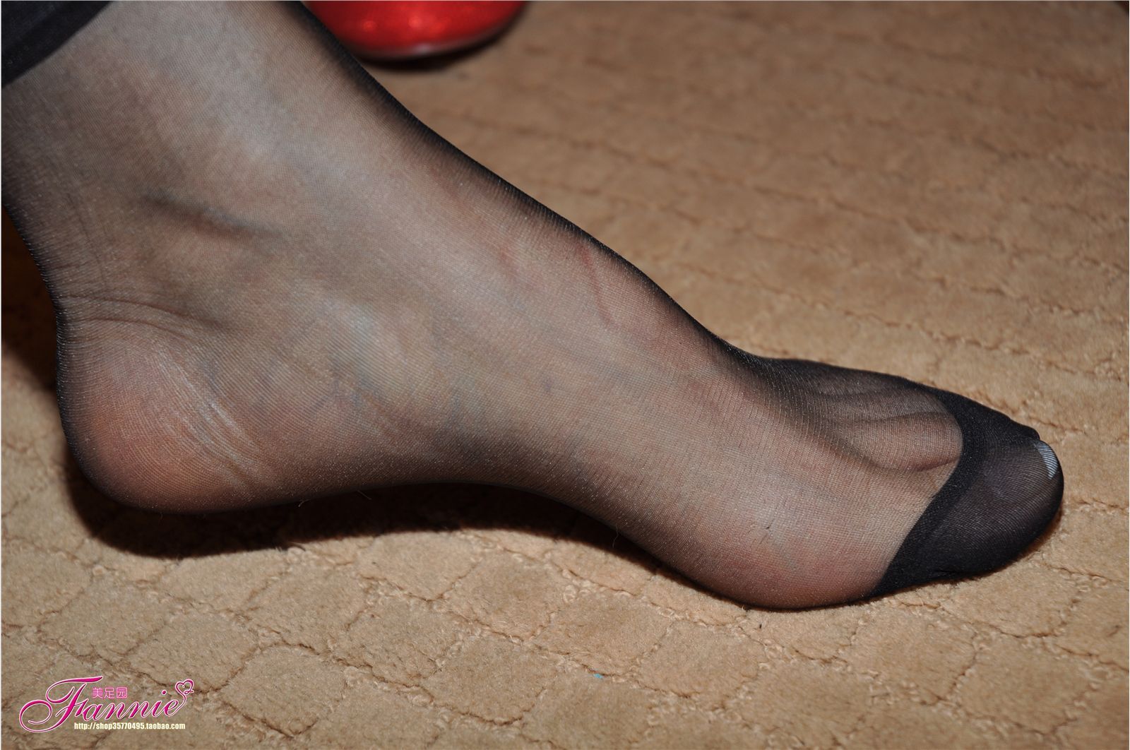黑丝特写(2) 芬妮美足