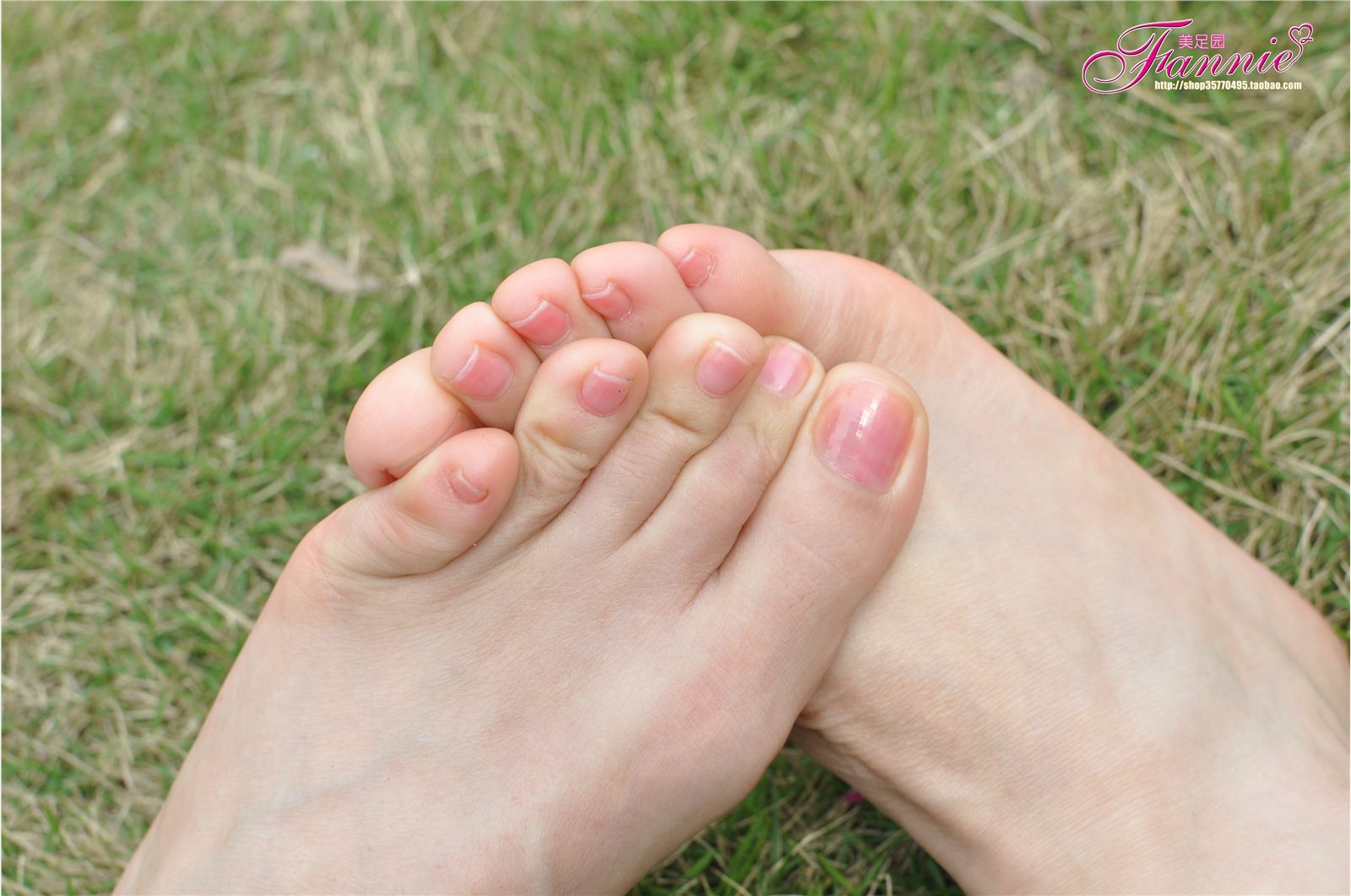 芬妮美足 杨柳弄春柔（裸足）