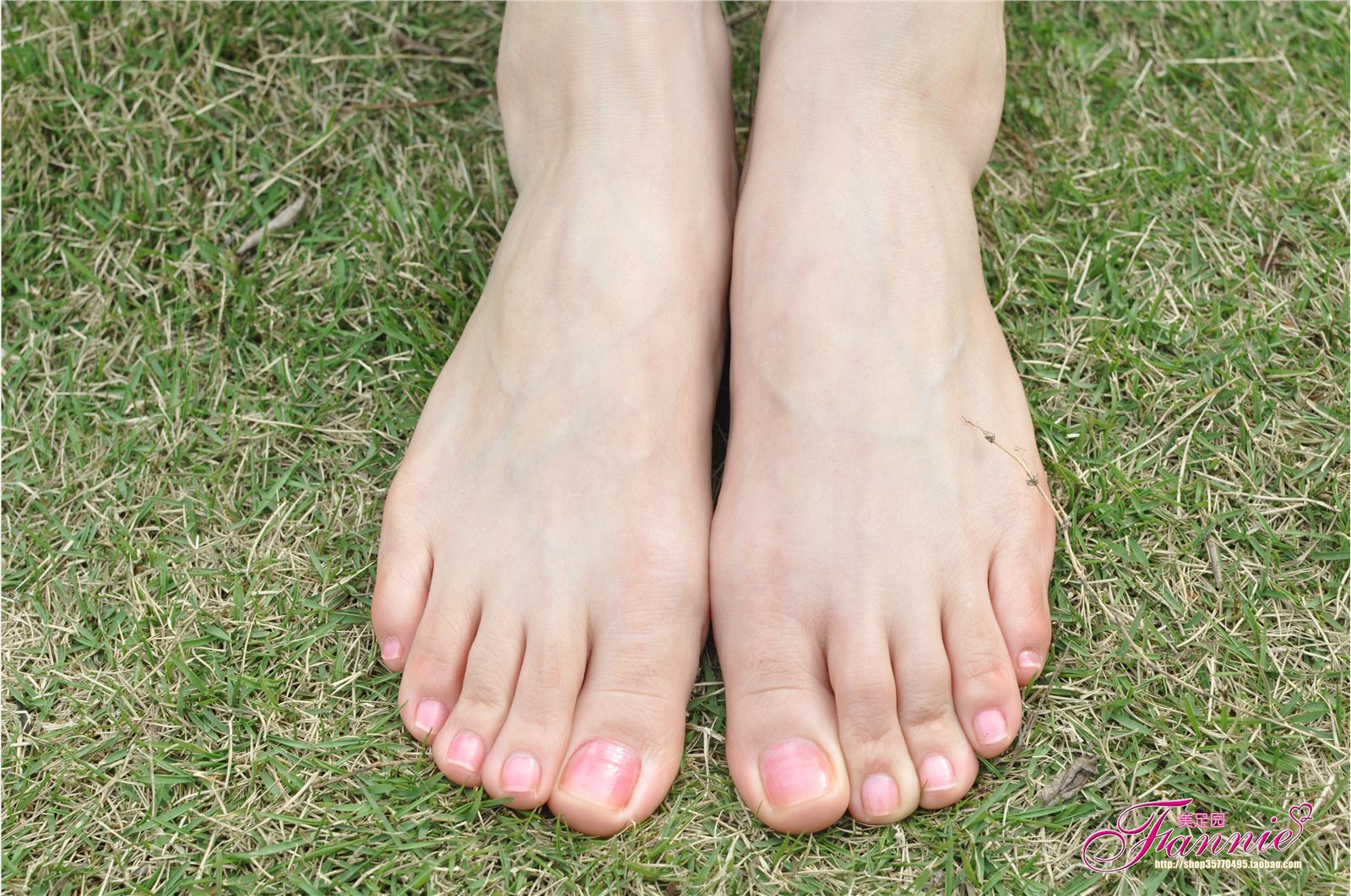 芬妮美足 杨柳弄春柔（裸足）