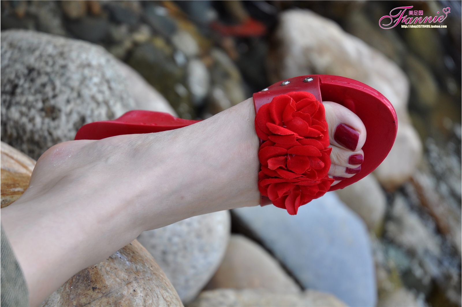 芬妮美足 阳光下的水舞 4