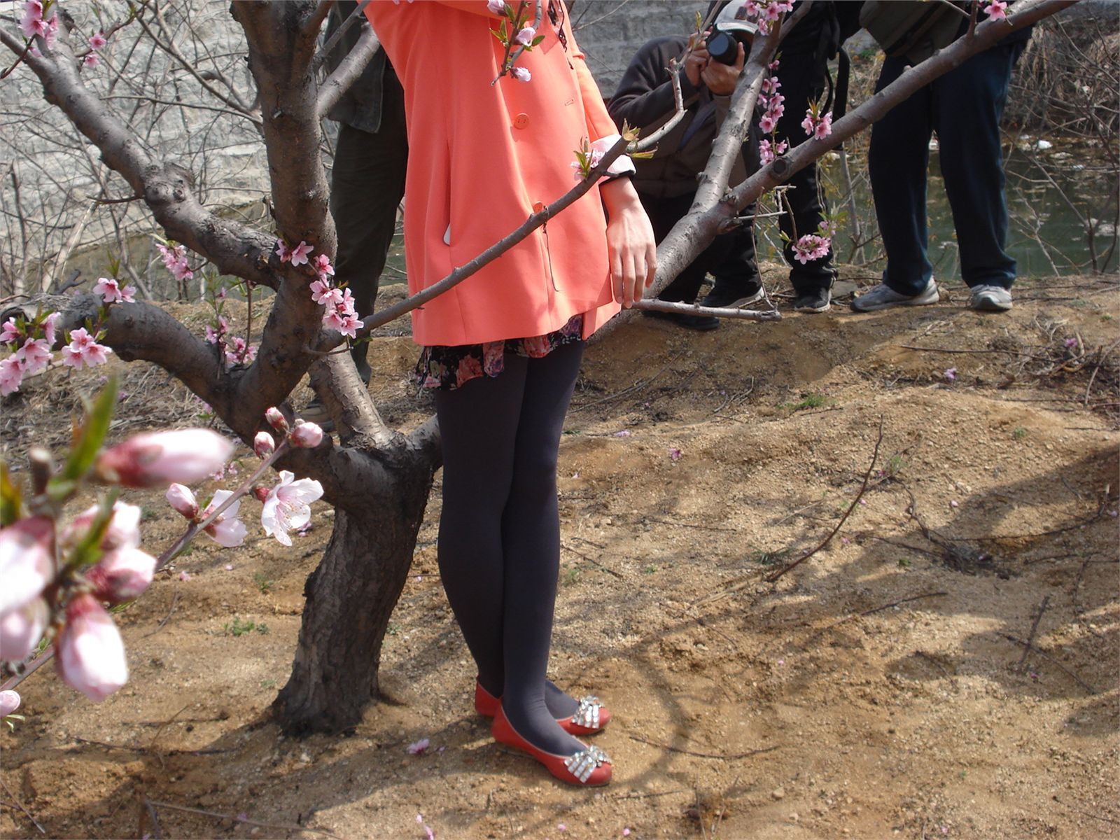 [户外街拍] 2013.09.02 桃花源丝袜美女