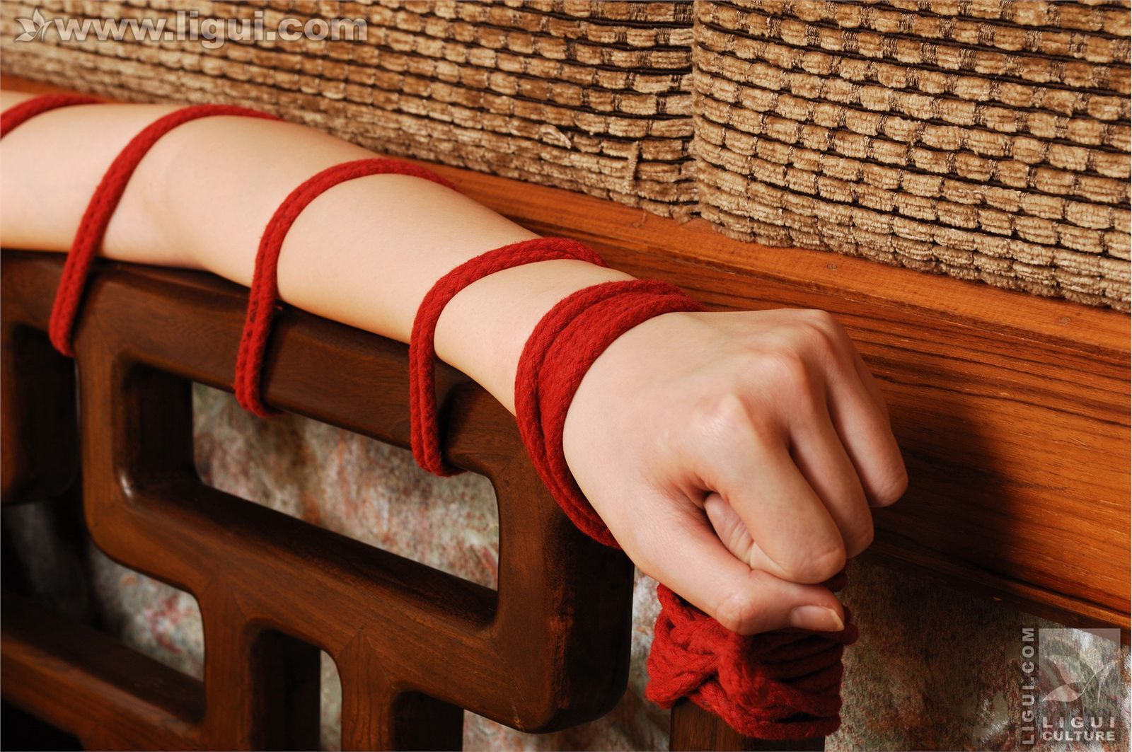 Model菲菲 丽柜 ligui 美眉被困豪華會所 mm套图