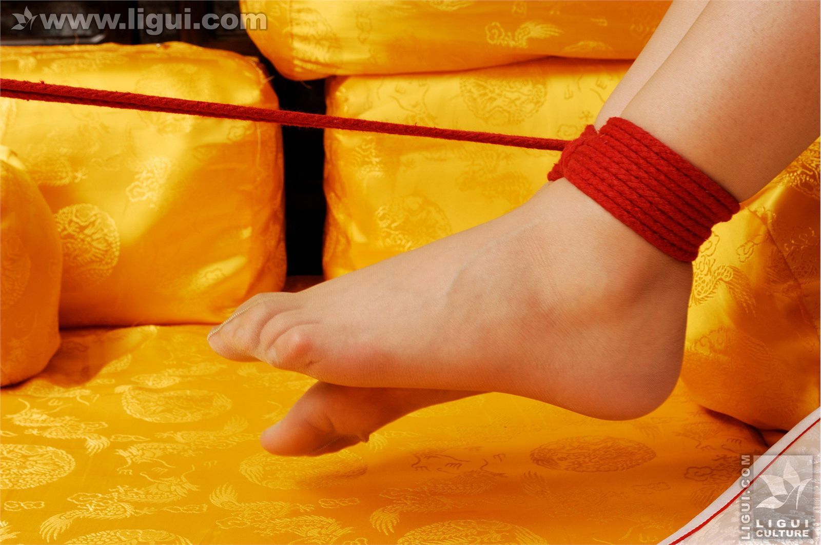 Model菲菲 丽柜 ligui 美眉被困豪華會所 mm套图