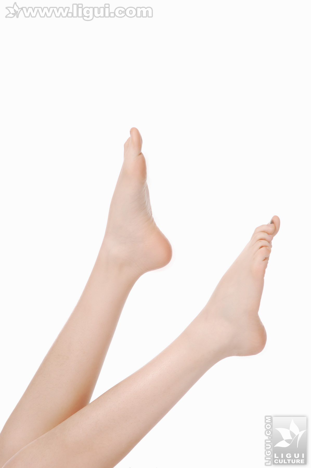 张凤娇之简单高跟美足秀 丽柜 ligui 丝袜套图