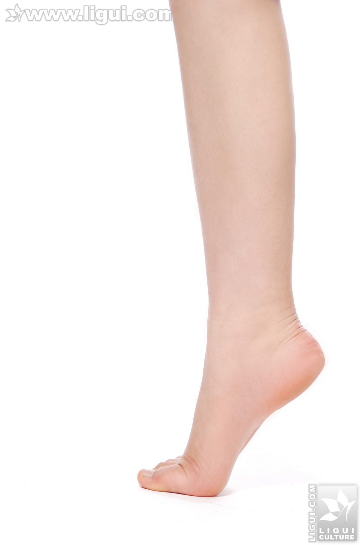 盛超之高跟玉足美丽新展示  丽柜 ligui 丝袜套图