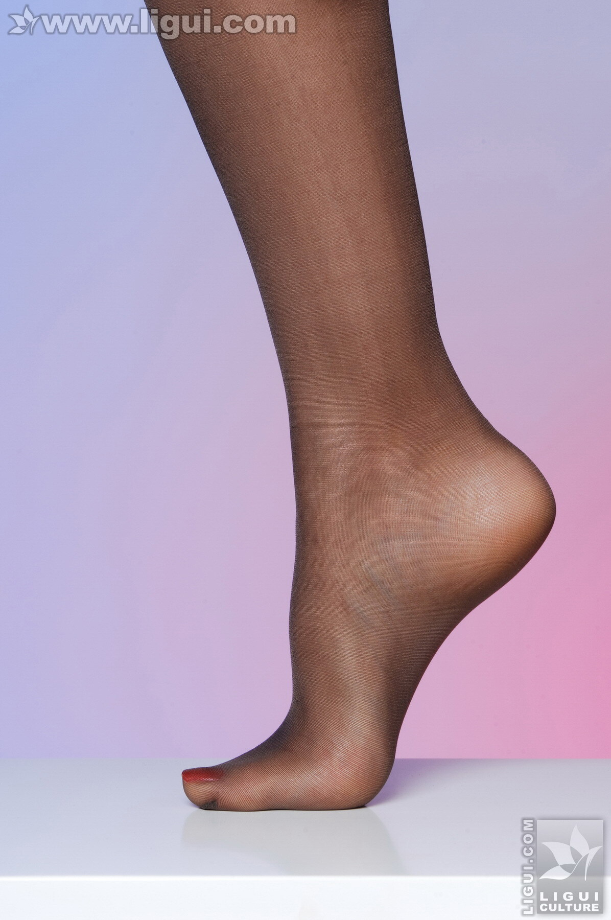 美丽白雪之美足淋漓体现：model白雪 丽贵丝袜美女图片