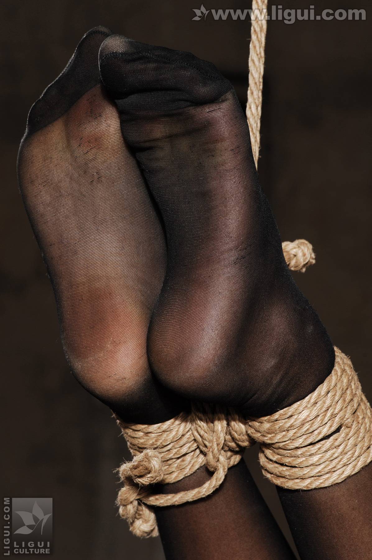 模特伊园 黑丝诱惑捆绑主题下的完美体现 丽贵丝袜美女图片