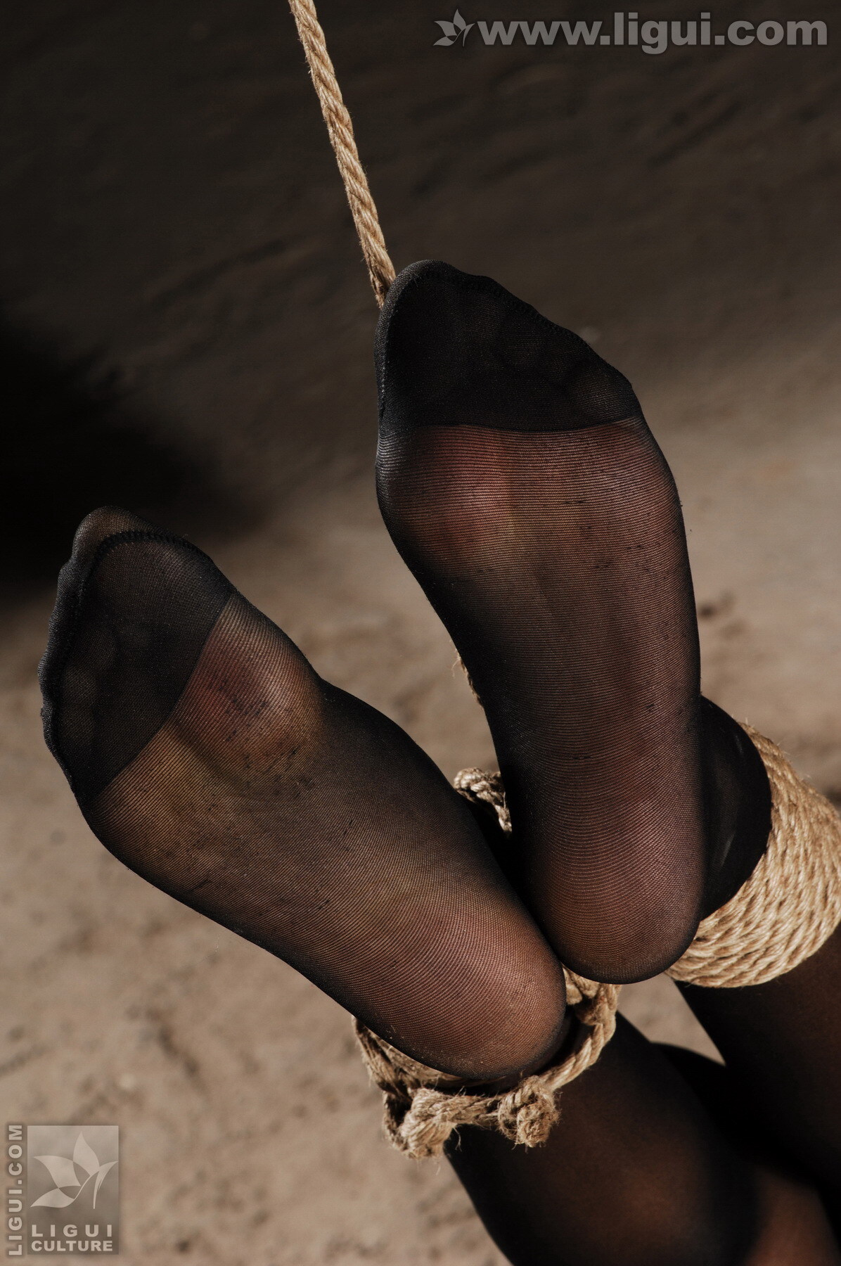 模特伊园 黑丝诱惑捆绑主题下的完美体现 丽贵丝袜美女图片