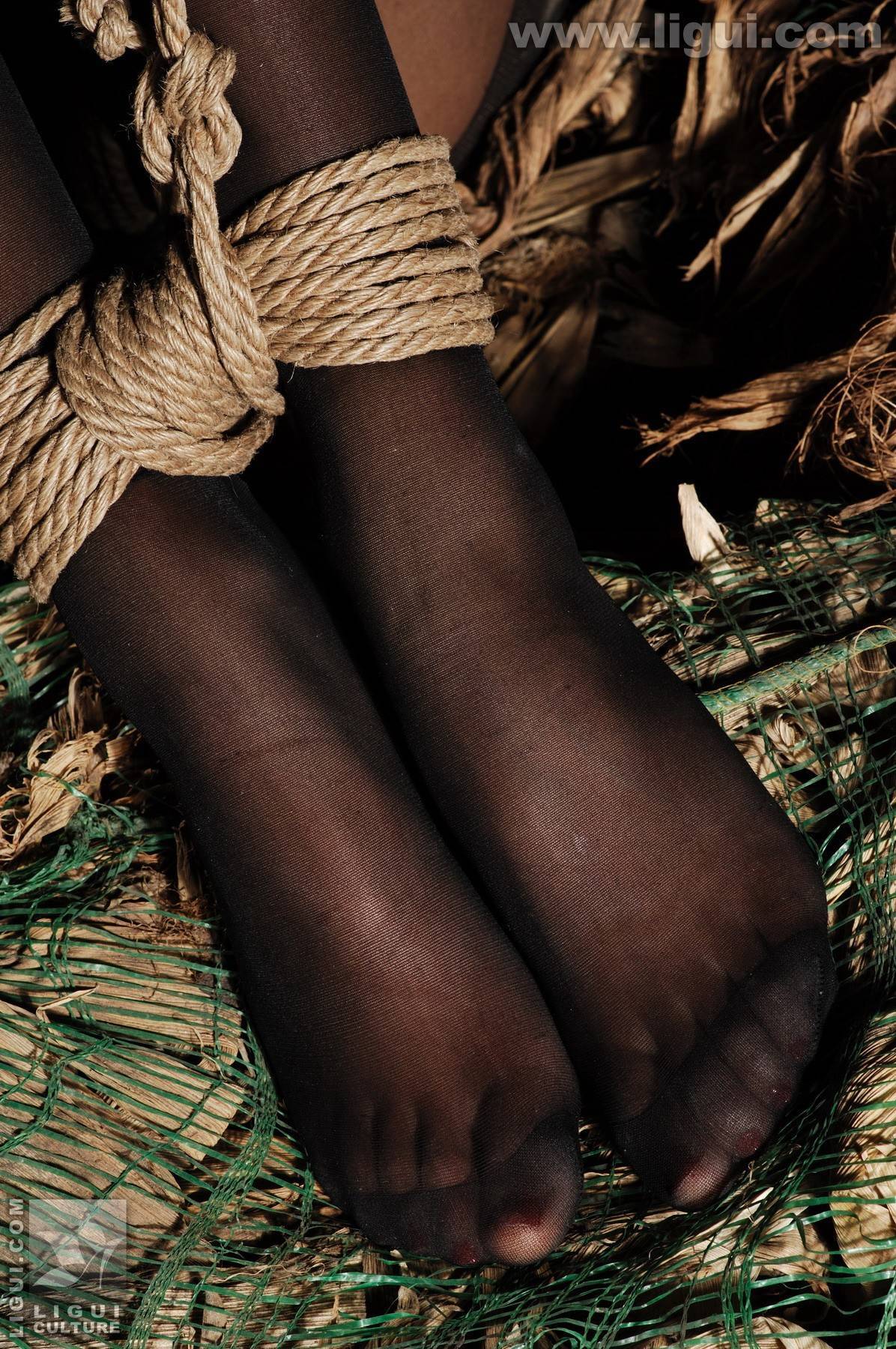 模特伊园 黑丝诱惑捆绑主题下的完美体现 丽贵丝袜美女图片