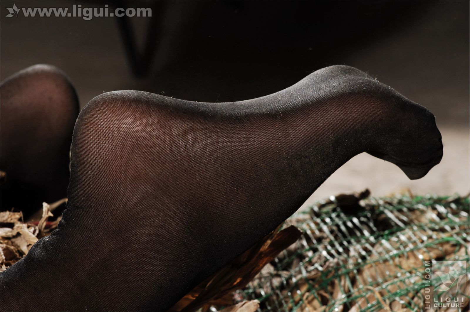 模特伊园 黑丝诱惑捆绑主题下的完美体现 丽贵丝袜美女图片