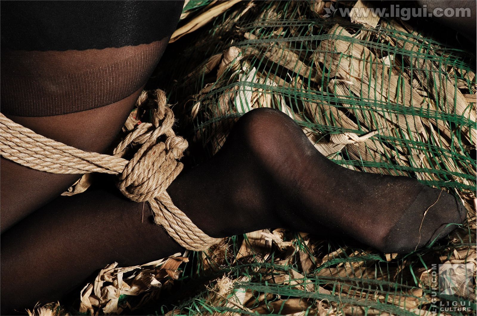 模特伊园 黑丝诱惑捆绑主题下的完美体现 丽贵丝袜美女图片