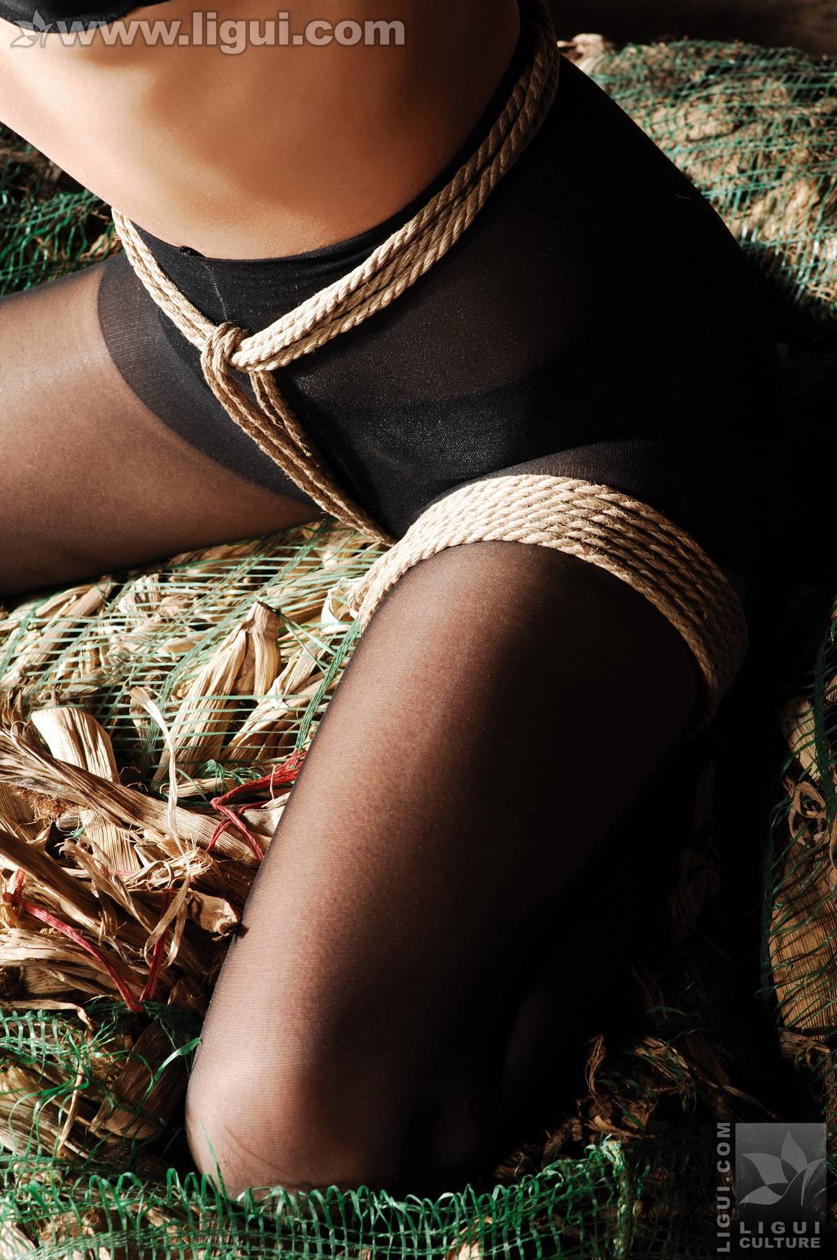 模特伊园 黑丝诱惑捆绑主题下的完美体现 丽贵丝袜美女图片