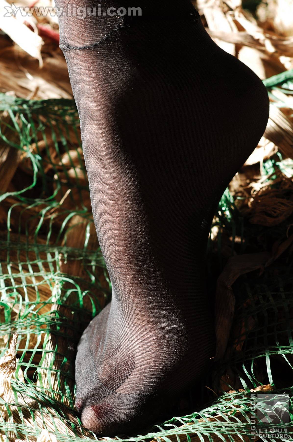 模特伊园 黑丝诱惑捆绑主题下的完美体现 丽贵丝袜美女图片