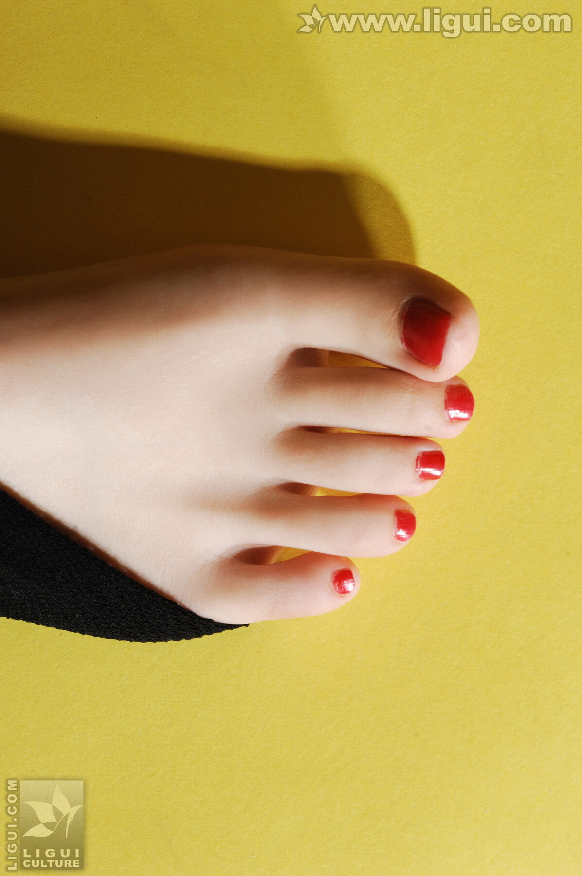 与小熊玩偶之间的黑丝摩登秀model：vicky 丽柜ligui模特