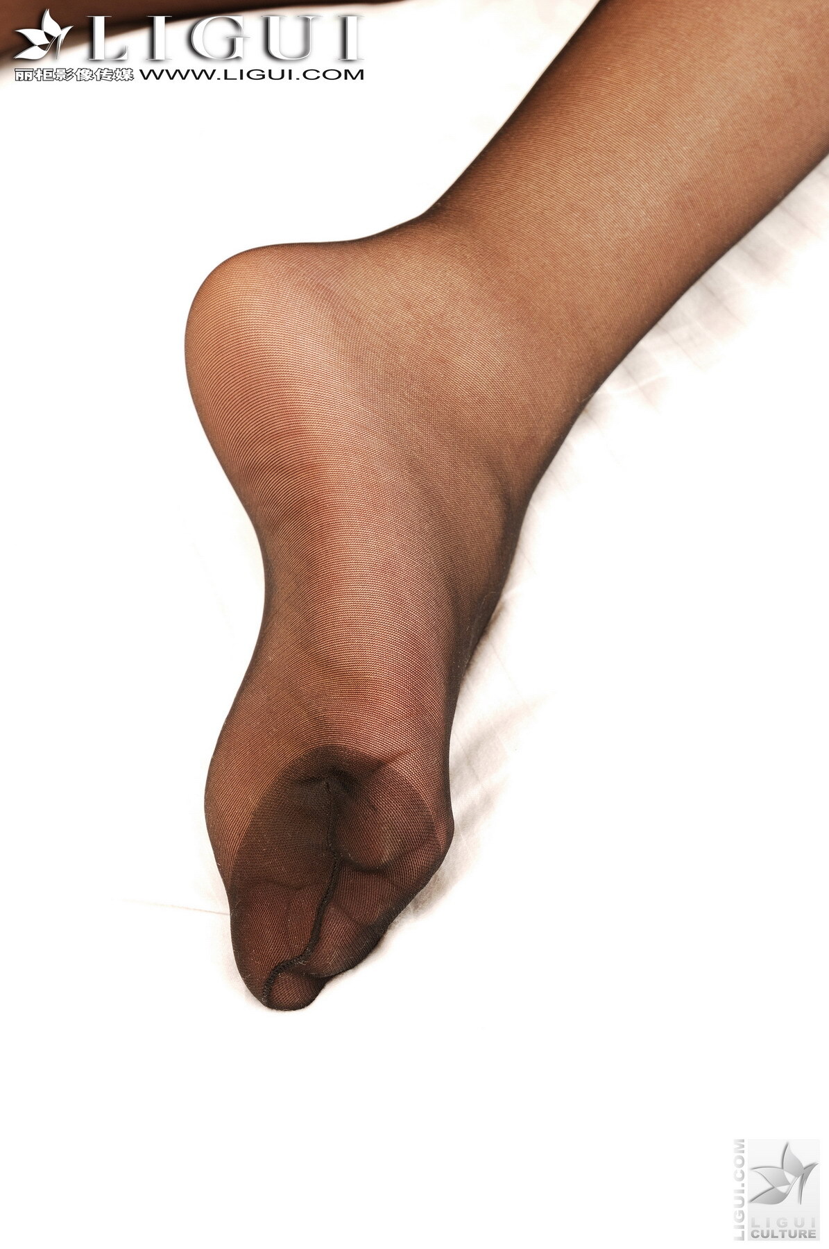 丽柜诱人黑丝美腿 Model 苏菲 [Ligui]丽柜