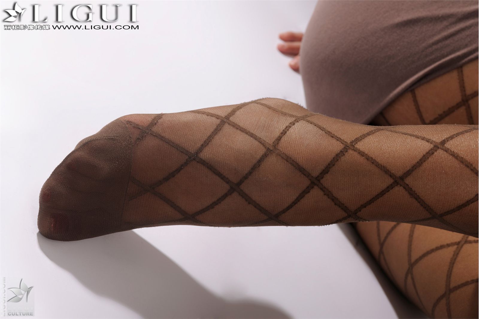 [Ligui]丽柜 20110916 網絲的誘惑 Model 田甜