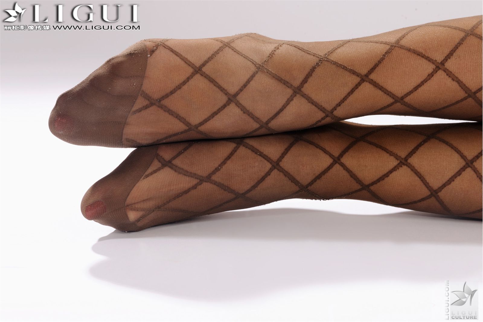 [Ligui]丽柜 20110916 網絲的誘惑 Model 田甜