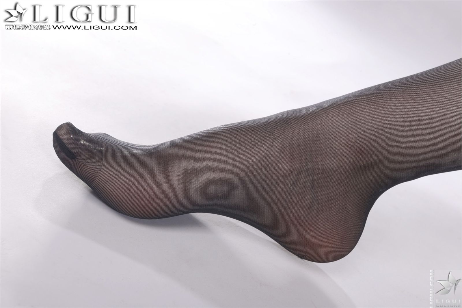 黑絲的誘惑 Model Vicky [麗櫃 ligui][10-03]