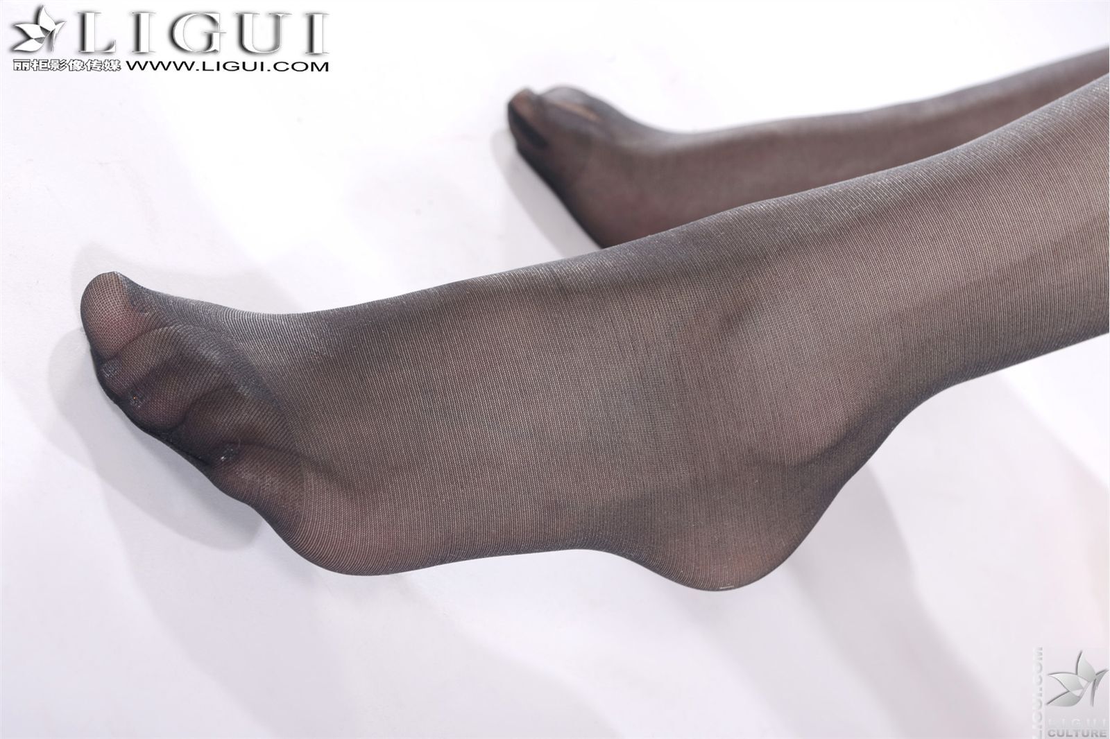 黑絲的誘惑 Model Vicky [麗櫃 ligui][10-03]