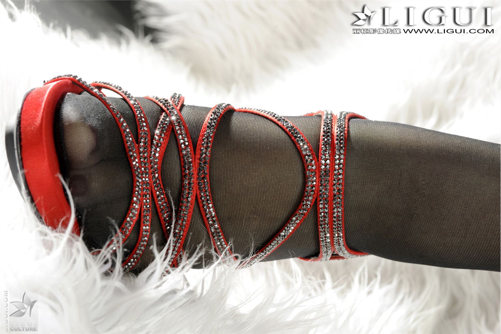 黑色蕾絲的誘惑 Model - 文靜 [Ligui]丽柜 20111006