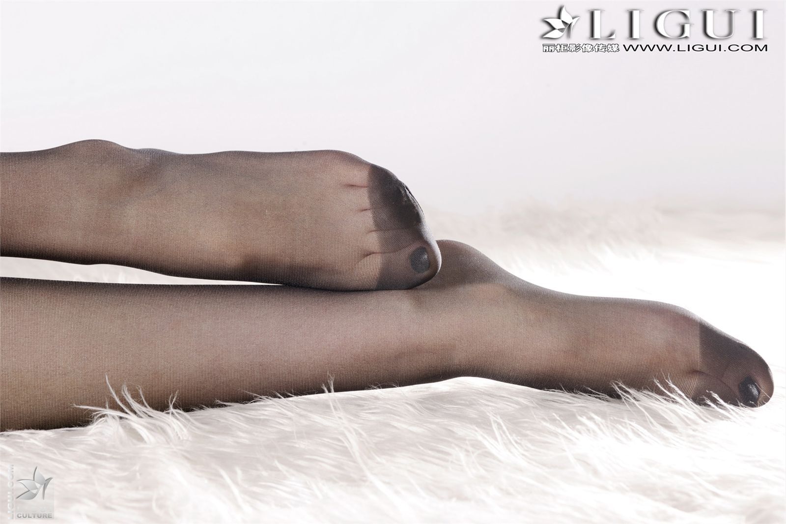 美足皇后之Vicky 2 黑絲 Model - Vicky [Ligui]丽柜丝袜 20111019