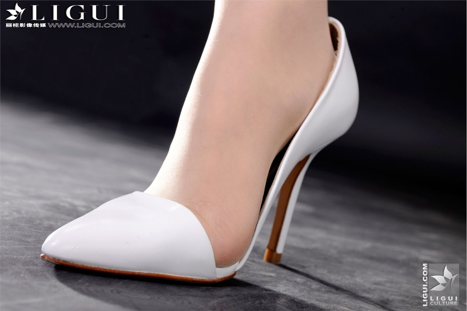 白領麗人的誘惑 Model - 雪兒 上 [Ligui]丽柜 20120106